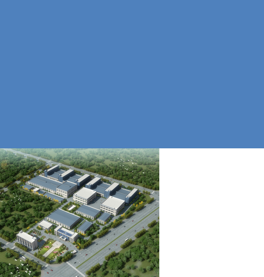 2026年国际足联世界杯(FIFA World Cup 2026)- 官方网站